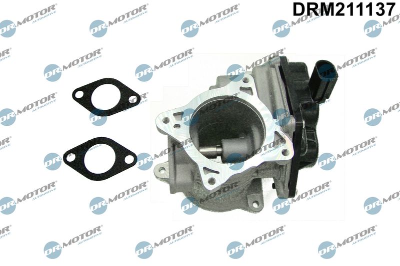 EGR Valve Dr.Motor Automotive DRM211137