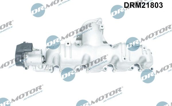 Įsiurbimo kolektoriaus modulis Dr.Motor Automotive DRM21803