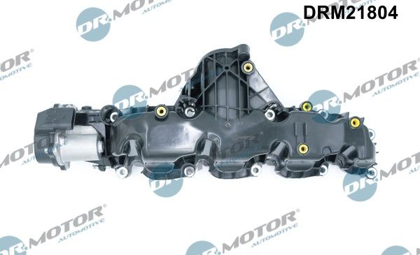 Įsiurbimo kolektoriaus modulis Dr.Motor Automotive DRM21804