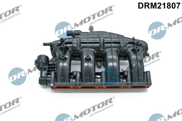 Įsiurbimo kolektoriaus modulis Dr.Motor Automotive DRM21807