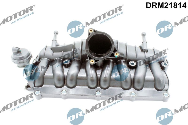 Įsiurbimo kolektoriaus modulis Dr.Motor Automotive DRM21814