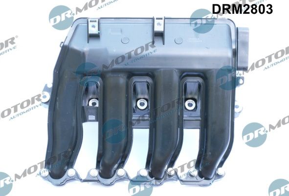 Įsiurbimo kolektoriaus modulis Dr.Motor Automotive DRM2803