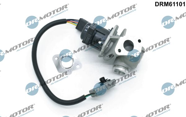 EGR Valve Dr.Motor Automotive DRM61101