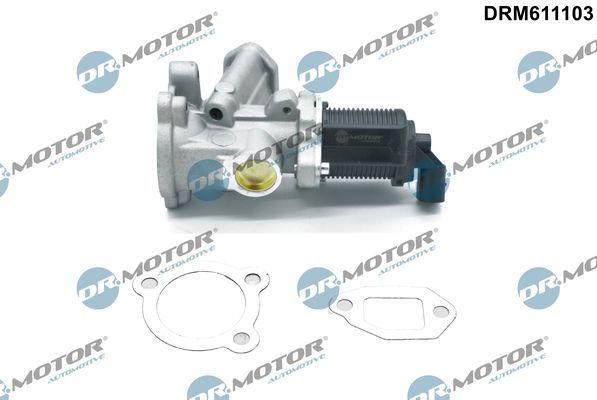 Клапан системи рециркуляції ВГ Dr.Motor Automotive DRM611103