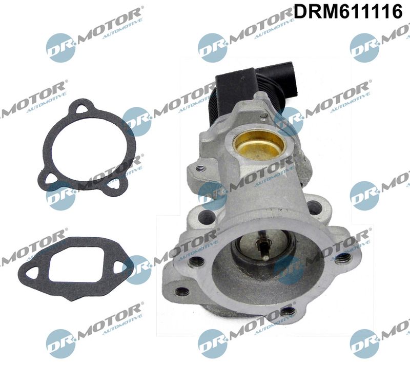 EGR Valve Dr.Motor Automotive DRM611116