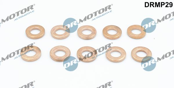 Tarpiklių rinkinys, purkštuko antgalis Dr.Motor Automotive DRMP29