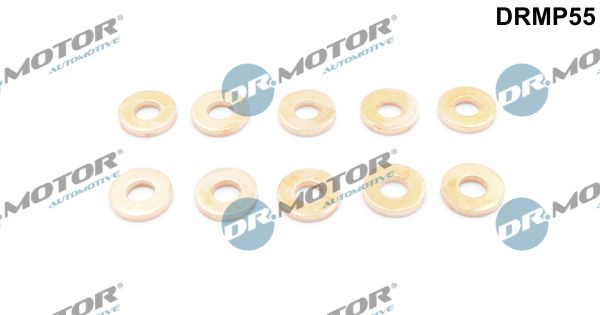 Seal Kit, injector nozzle Dr.Motor Automotive DRMP55