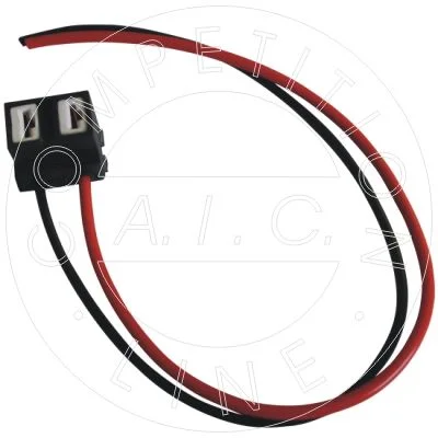 Kištukas aic 55895