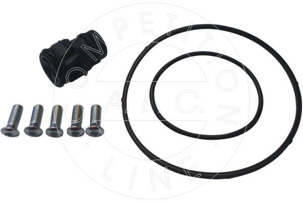 Repair Set, vacuum pump (braking system) AIC 56249