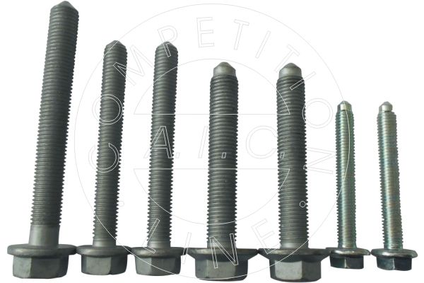 Mounting and Bolting Kit, control/trailing arm AIC 56376