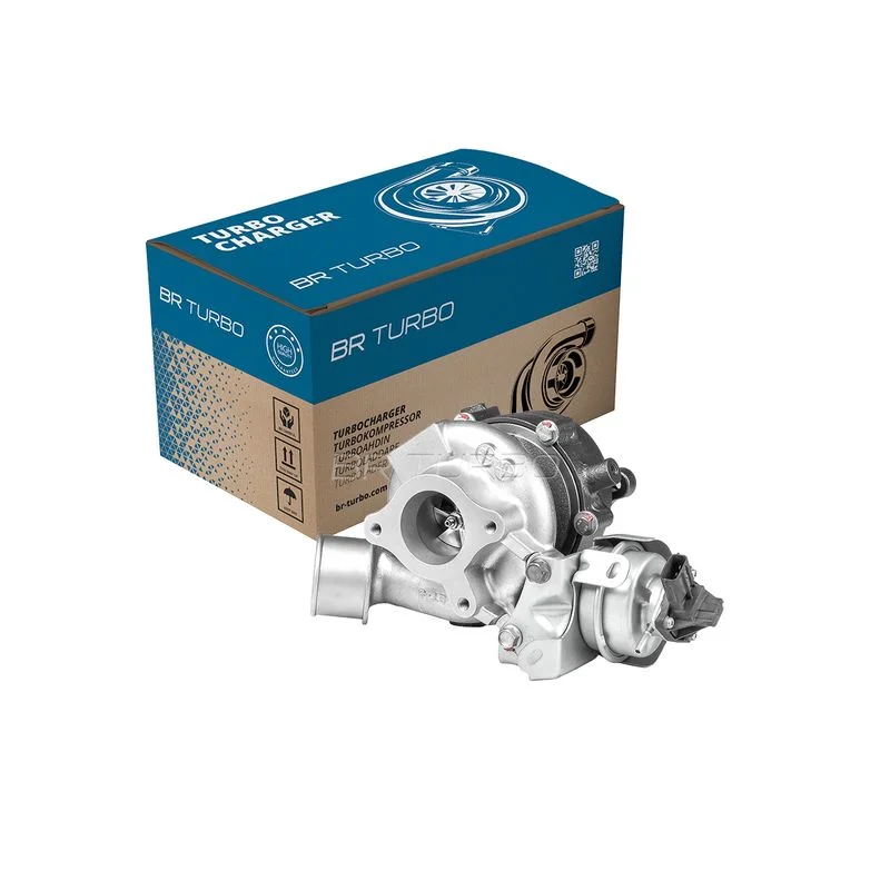 Kompresorius, įkrovimo sistema BR Turbo 4933502100RS