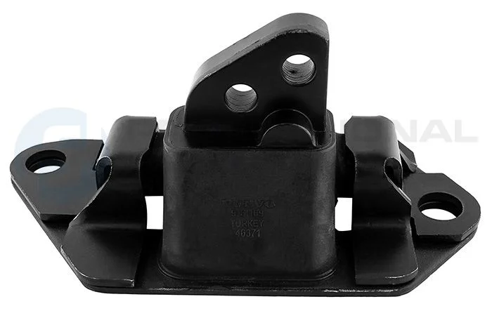 Variklio montavimas Professional Parts 62431169