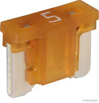Fuse  50295793