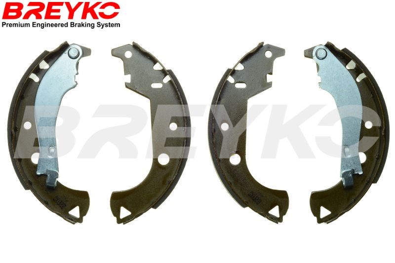 Brake Shoe Set DAVID VASCO W8442