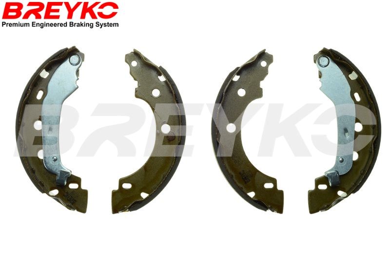 Brake Shoe Set DAVID VASCO W8650