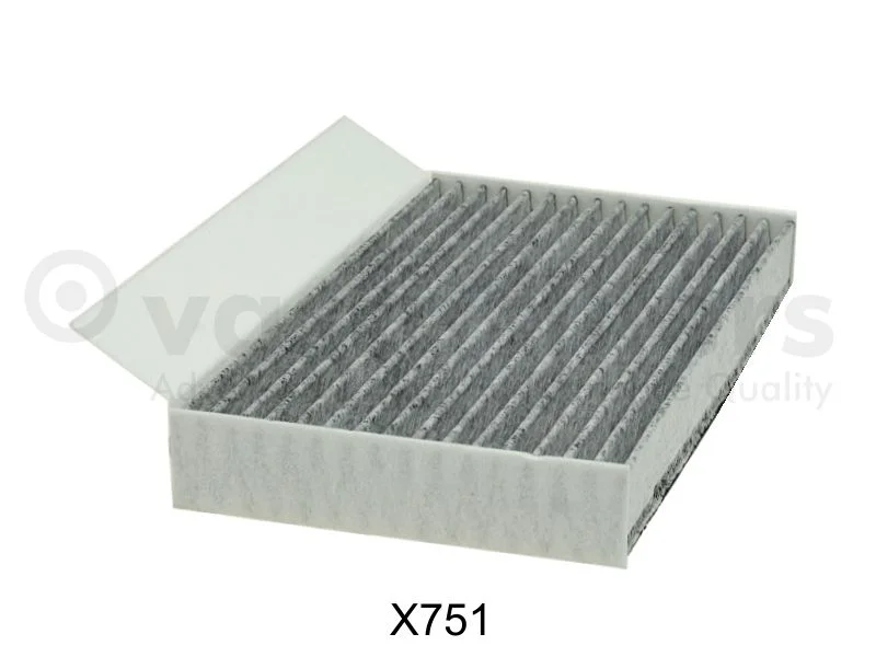 Filtras, salono oras DAVID VASCO X751