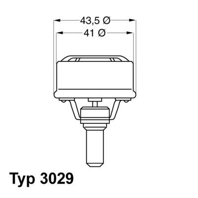 Thermostat, coolant BorgWarner (Wahler) 3029.89