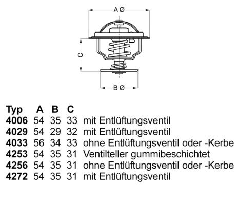 Termostatas, aušinimo skystis BorgWarner (Wahler) 4006.82D