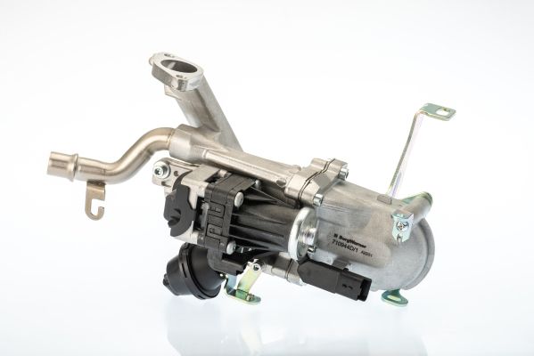 EGR Module BorgWarner (Wahler) 710944D/1