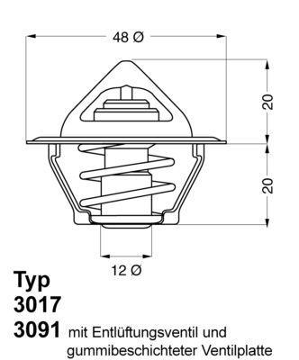 Termostatas, aušinimo skystis BorgWarner (Wahler) 3017.92D2