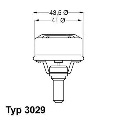 Termostatas, aušinimo skystis BorgWarner (Wahler) 3029.86
