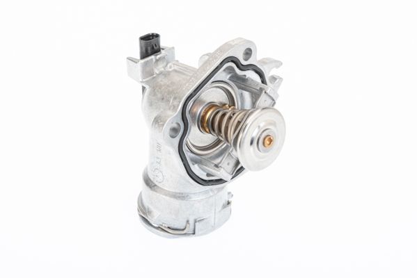 Thermostat, coolant BorgWarner (Wahler) 410403.92D