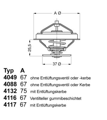 Thermostat, coolant BorgWarner (Wahler) 4116.87D1