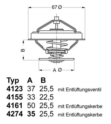 Termostatas, aušinimo skystis BorgWarner (Wahler) 4123.80D