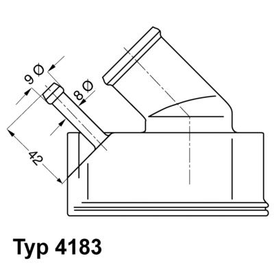 Termostatas, aušinimo skystis BorgWarner (Wahler) 4183.92D