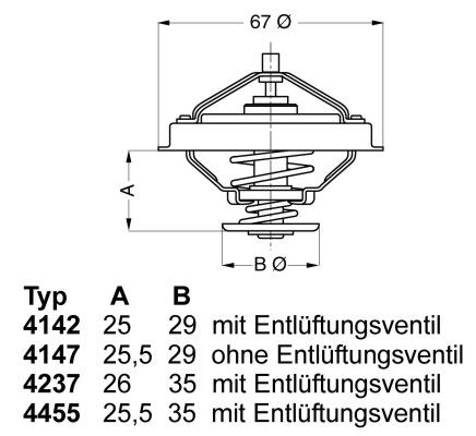 Termostatas, aušinimo skystis BorgWarner (Wahler) 4237.88D