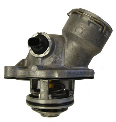 Termostatas, aušinimo skystis BorgWarner (Wahler) 4834.100D