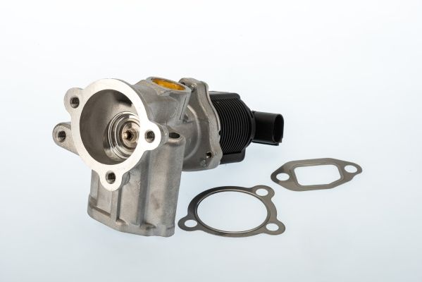 Клапан системи рециркуляції ВГ BorgWarner (Wahler) 710773D