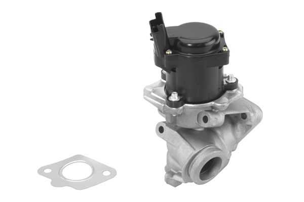 EGR Valve BorgWarner (Wahler) 710929R