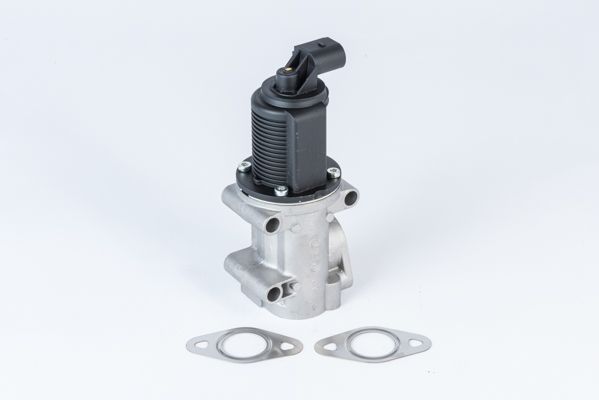 Клапан системи рециркуляції ВГ BorgWarner (Wahler) 710952R