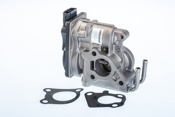 Клапан системи рециркуляції ВГ BorgWarner (Wahler) 710969R