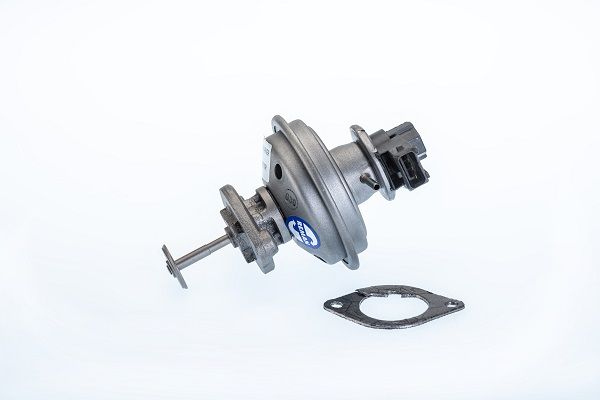 ERG vožtuvas BorgWarner (Wahler) 710970R