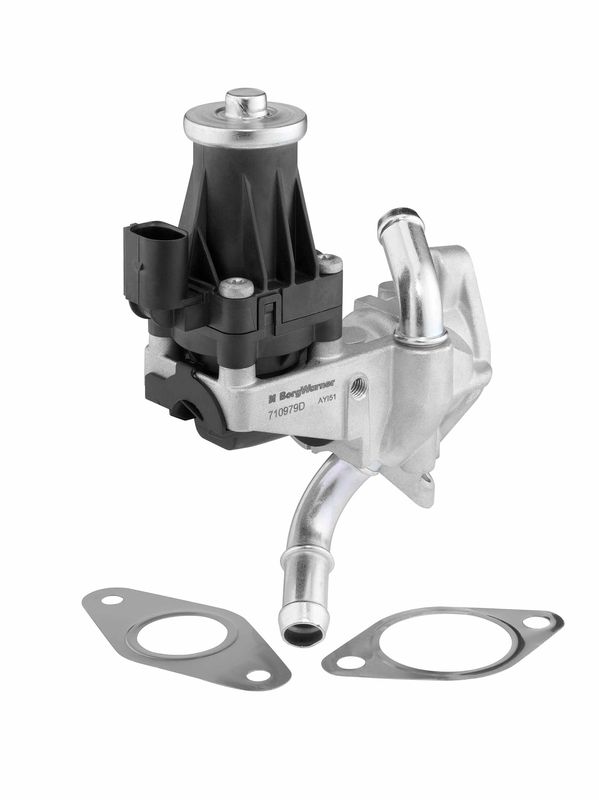 Клапан системи рециркуляції ВГ BorgWarner (Wahler) 710979D