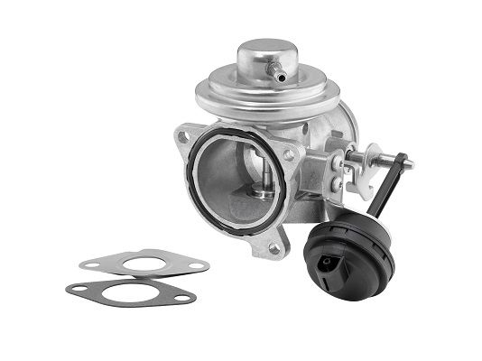 ERG vožtuvas BorgWarner (Wahler) 7293D