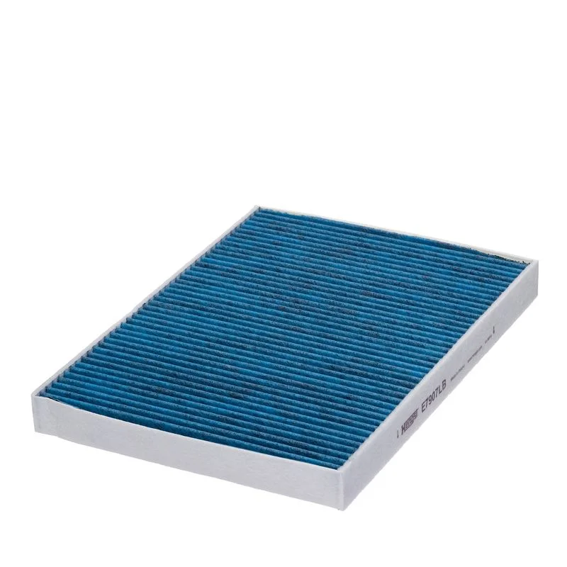 Filtras, salono oras E7907LB