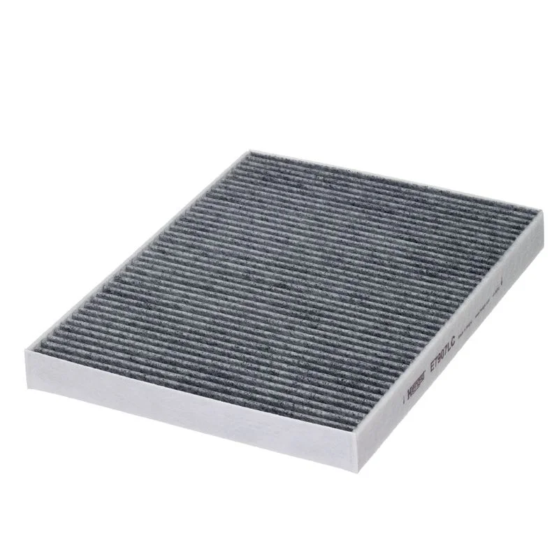 Filtras, salono oras E7907LC