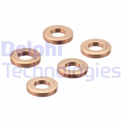 Purkštuvo sandarinimo žiedai DELPHI 9001-850D-12B1