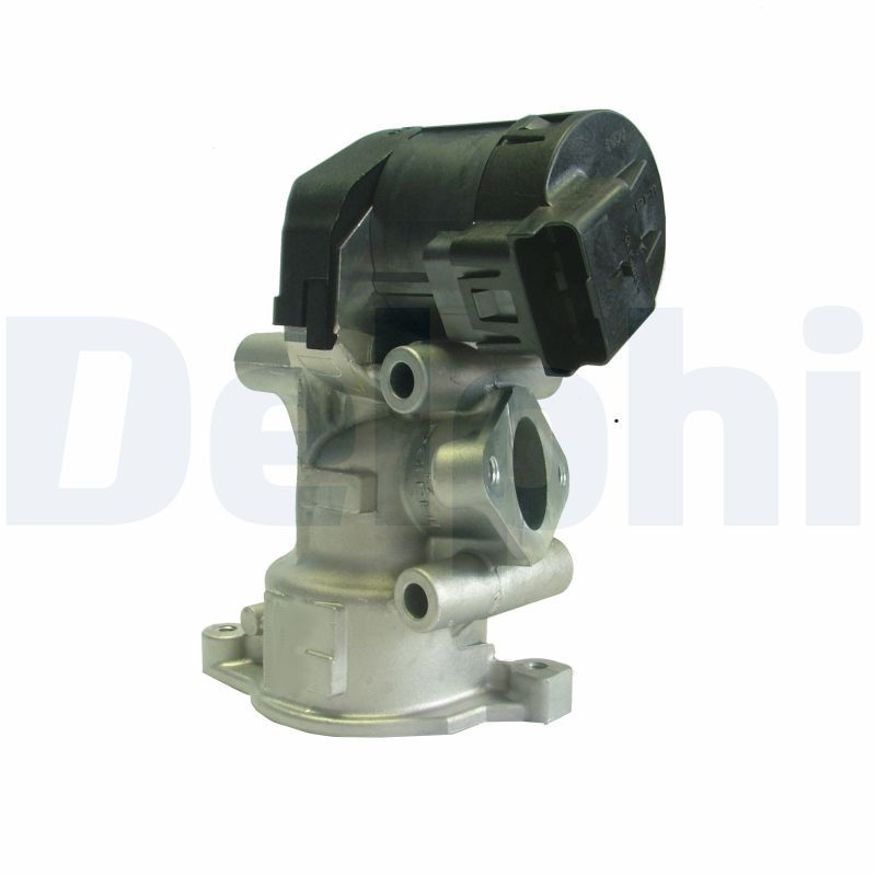 EGR Valve DELPHI EG10396-12B1