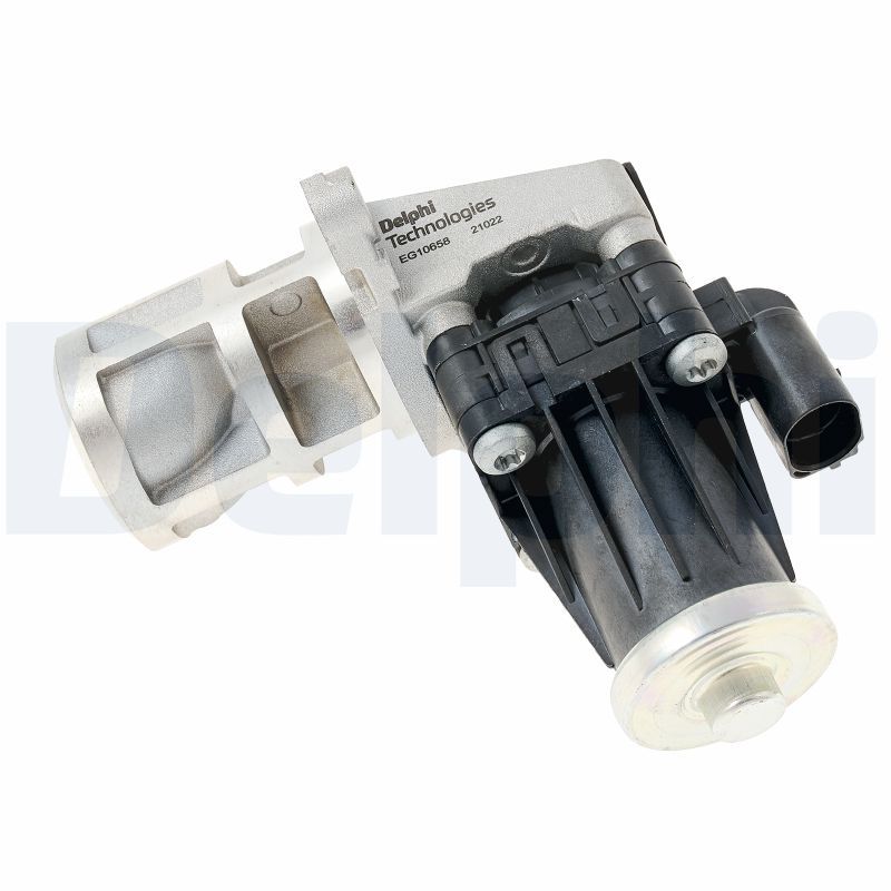 EGR Valve DELPHI EG10658-12B1