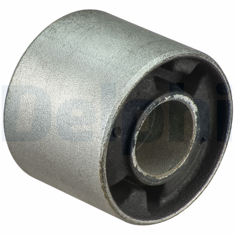 Mounting, control/trailing arm DELPHI TD1818W