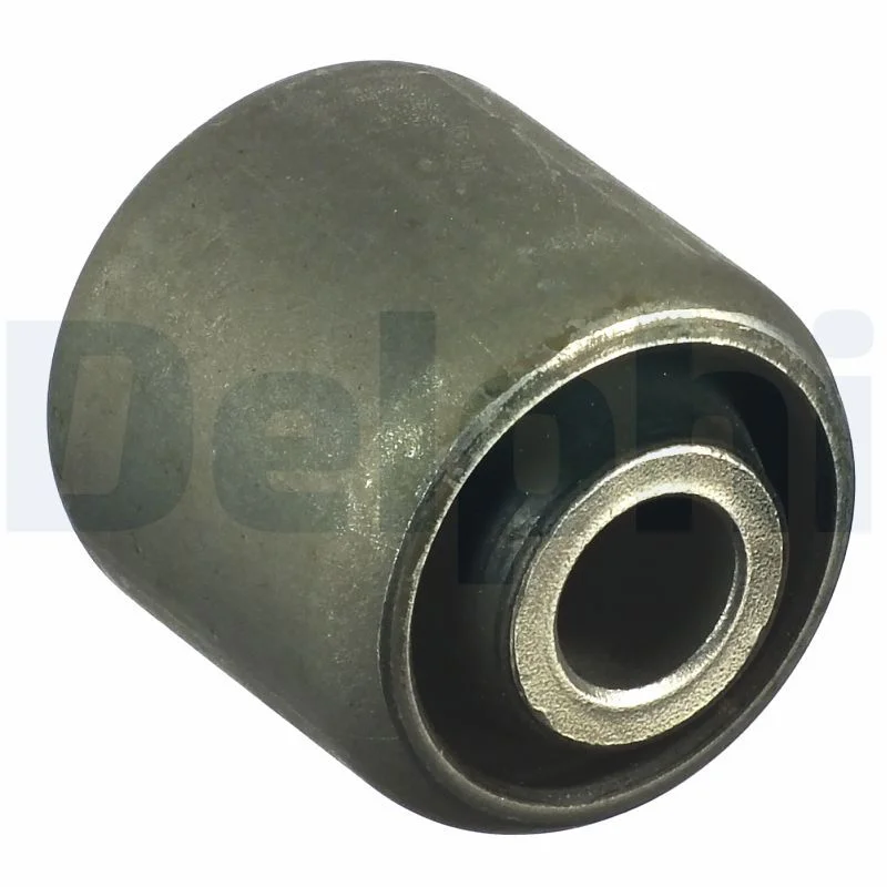 251 DELPHI TD951W