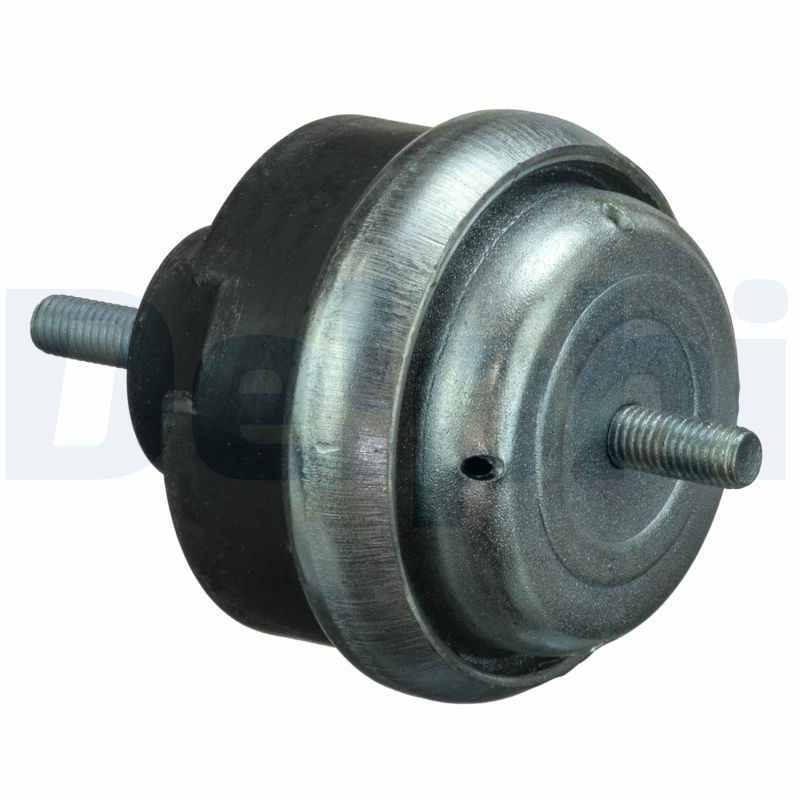 Variklio montavimas DELPHI TEM066
