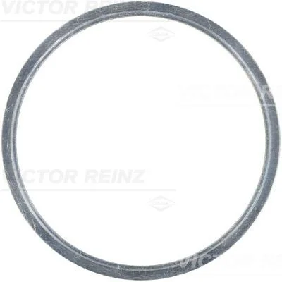 Tarpiklis, cilindro galva VICTOR REINZ 61-23410-00