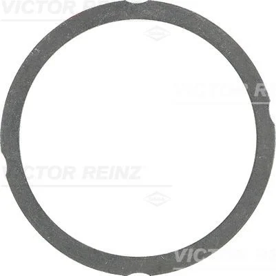 Tarpiklis, cilindro galva VICTOR REINZ 61-25475-40