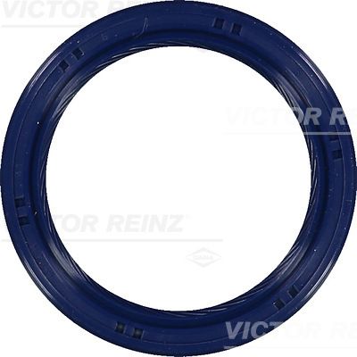 Veleno sandariklis, alkūninis velenas VICTOR REINZ 81-53699-00
