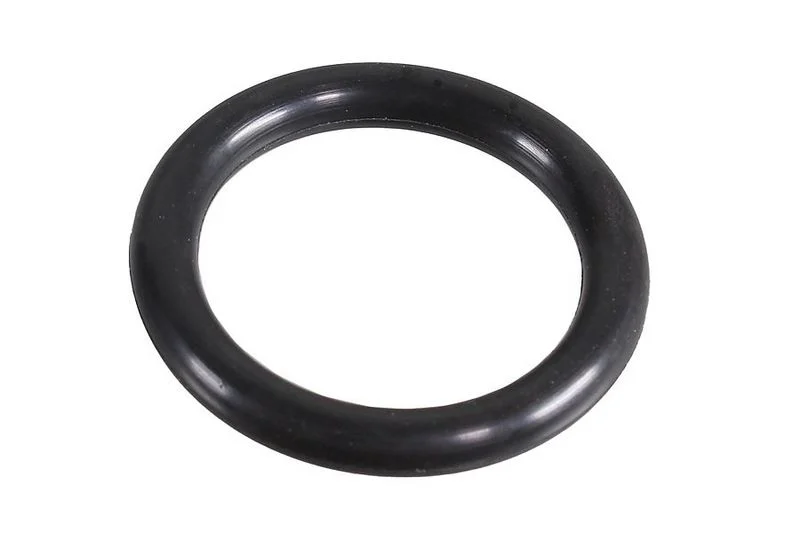 Seal Ring METZGER 2430116